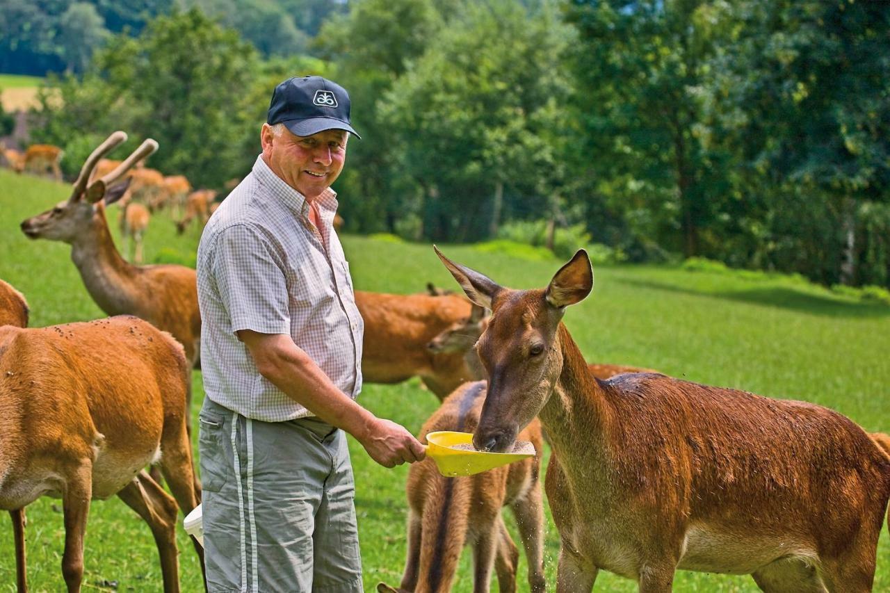 Gaestezimmer Buchegger Krumbach  Zewnętrze zdjęcie